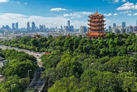 麻豆app 下载-掌握瞬间精彩——解锁麻豆app下载的全景视角